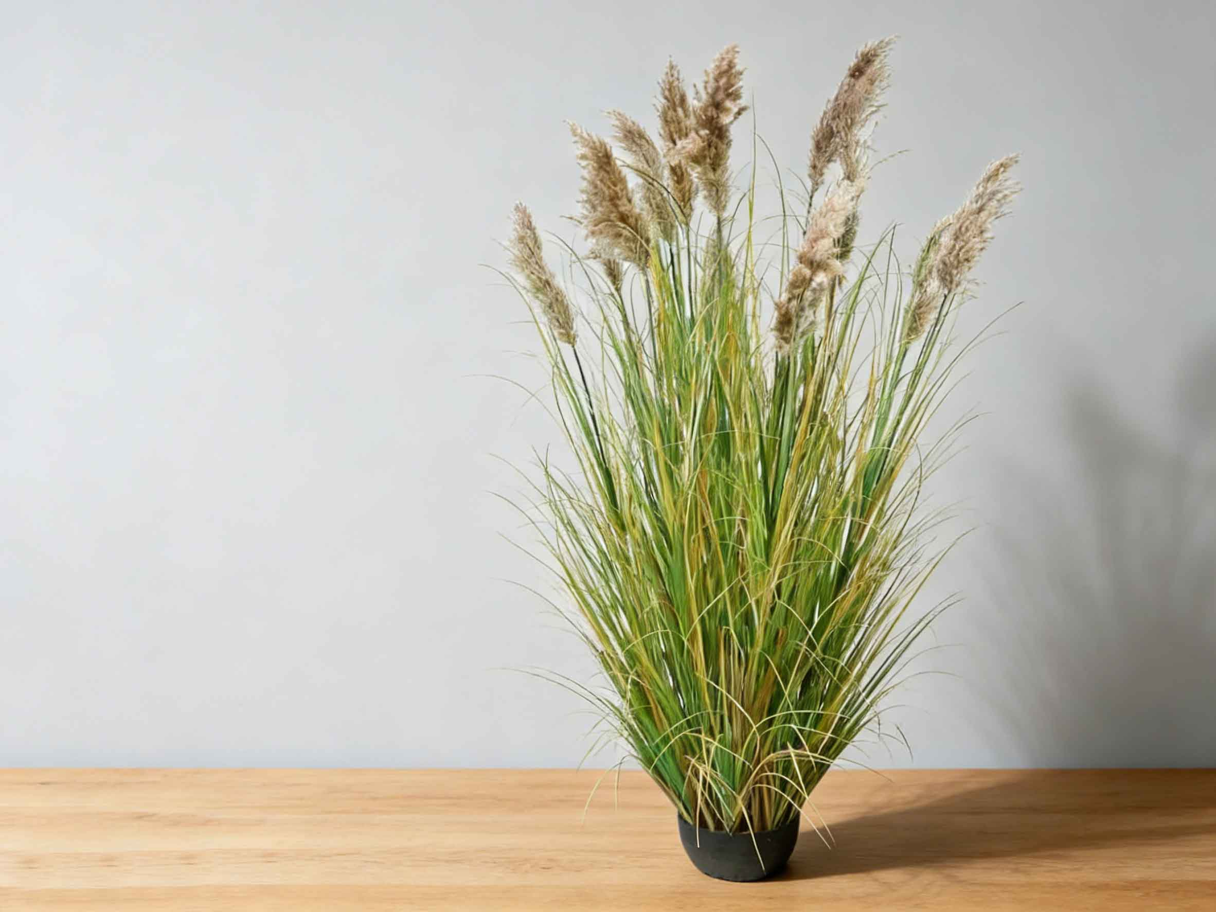 广东盛森：亿星是行业性软件，同行都在用，大家说好才是真的好！